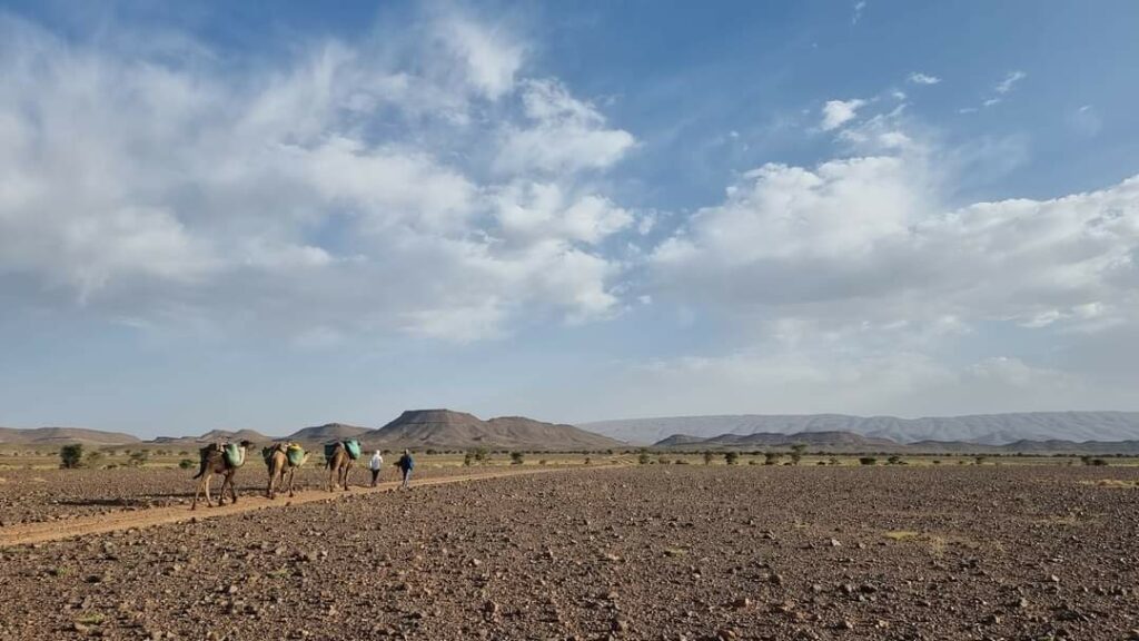 viaggio Marocco gruppo